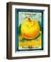 Onions Seed Packet-Lantern Press-Framed Art Print