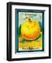 Onions Seed Packet-Lantern Press-Framed Art Print