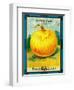 Onions Seed Packet-Lantern Press-Framed Art Print