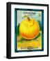 Onions Seed Packet-Lantern Press-Framed Art Print