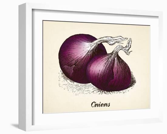 Onions Vintage Illustration, Red Onions Vector Image after Vintage Illustration from Brockhaus' Kon-Oliver Hoffmann-Framed Art Print