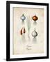 Onions-null-Framed Art Print