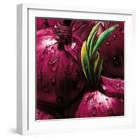 Onions-null-Framed Art Print