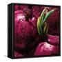 Onions-null-Framed Stretched Canvas