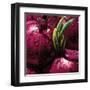 Onions-null-Framed Art Print