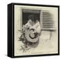 Only a Face at the Window-null-Framed Stretched Canvas