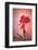 Only Love-Philippe Sainte-Laudy-Framed Photographic Print