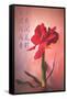 Only Love-Philippe Sainte-Laudy-Framed Stretched Canvas