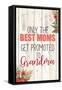 Only The Best Moms-Kimberly Allen-Framed Stretched Canvas