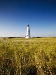 Great Point Lighthouse-Onne van der Wal-Photographic Print