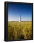 Essential Black