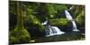 Onomea Waterfalls, Hawaii Tropical Botanical Garden, Hamakua Coast, the Big Island, Hawaii, Usa-Russ Bishop-Mounted Photographic Print