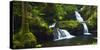 Onomea Waterfalls, Hawaii Tropical Botanical Garden, Hamakua Coast, the Big Island, Hawaii, Usa-Russ Bishop-Stretched Canvas