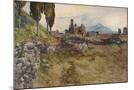 Wood Mount