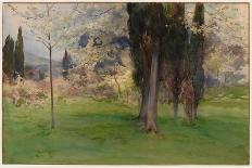 Spring Landscape with Trees (W/C on Paper)-Onorato Carlandi-Giclee Print