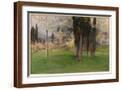 Brown Frame