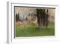 White Frame