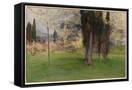 Canvas Black