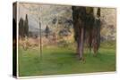 Stretched Canvas