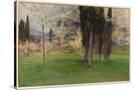 Stretched Canvas