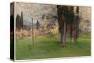 Stretched Canvas