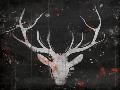 Laminate