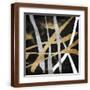 Brown Frame