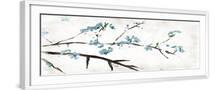 White Frame