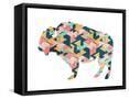 Framed Canvas
