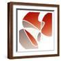 Brown Frame