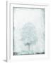 Gramercy White