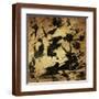 Brown Frame