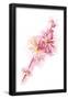 Essential Black