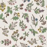 Seamless Pattern of Various Hand Drawn Herbs and Flowers-ONYXprj-Art Print