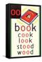 OO in Book-null-Framed Stretched Canvas