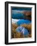 Oodel-Craig Satterlee-Framed Photographic Print