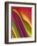 Oomph Three-Ruth Palmer-Framed Art Print