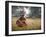 Oonder-Lynne Davies-Framed Premium Photographic Print