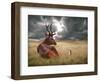 Oonder-Lynne Davies-Framed Photographic Print