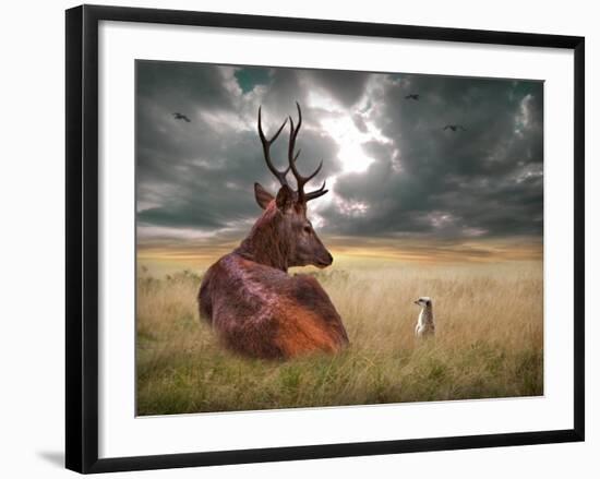 Oonder-Lynne Davies-Framed Photographic Print