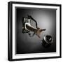 Ooops...!!!-Hari Sulistiawan-Framed Photographic Print