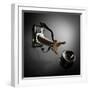 Ooops...!!!-Hari Sulistiawan-Framed Photographic Print