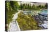 Opabin Plateau Trail Above Lake O'Hara, Yoho National Park, British Columbia, Canada-Russ Bishop-Stretched Canvas