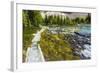 Opabin Plateau Trail Above Lake O'Hara, Yoho National Park, British Columbia, Canada-Russ Bishop-Framed Photographic Print