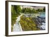 Opabin Plateau Trail Above Lake O'Hara, Yoho National Park, British Columbia, Canada-Russ Bishop-Framed Photographic Print