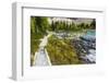 Opabin Plateau Trail Above Lake O'Hara, Yoho National Park, British Columbia, Canada-Russ Bishop-Framed Photographic Print