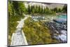 Opabin Plateau Trail Above Lake O'Hara, Yoho National Park, British Columbia, Canada-Russ Bishop-Mounted Photographic Print