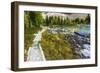 Opabin Plateau Trail Above Lake O'Hara, Yoho National Park, British Columbia, Canada-Russ Bishop-Framed Photographic Print