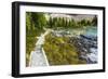 Opabin Plateau Trail Above Lake O'Hara, Yoho National Park, British Columbia, Canada-Russ Bishop-Framed Photographic Print