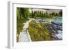 Opabin Plateau Trail Above Lake O'Hara, Yoho National Park, British Columbia, Canada-Russ Bishop-Framed Photographic Print